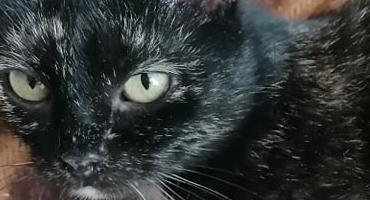 Neska