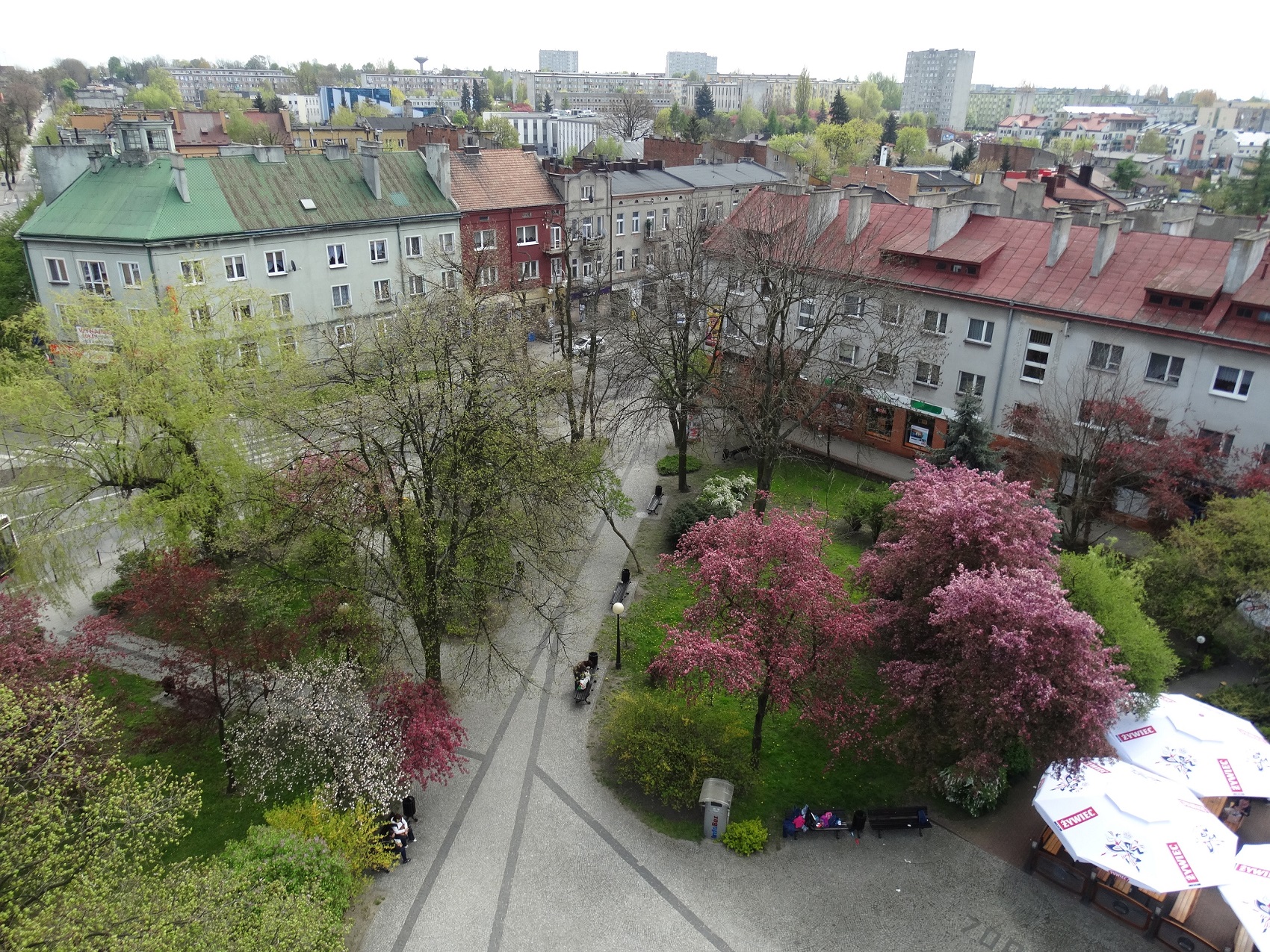 Zdjęcie miasto Radomsko wiadomości, Gmina miasto Radomsko informacje i mapa | radomszczanska.pl