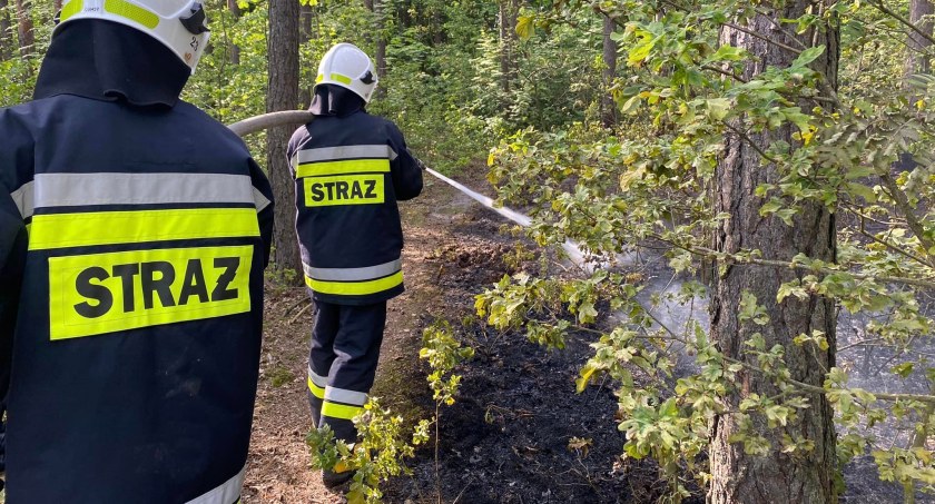 Na zdjęciu strażacy z Gomunice gaszący pożar poszycia, fot. Facebook/OSP Gomunice
