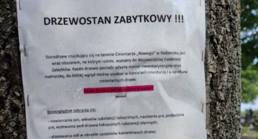 Na zdjęciu ogłoszenie na jednym z drzew na Nowym Cmentarzu, fot. Czytelnik