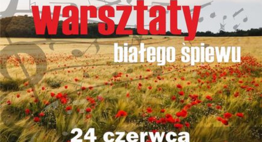 Na zdjęciu plakat promujący fot. Facebook/MDK Radomsko