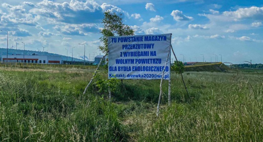 Na zdjęciu ogłoszenie na działce przy węźle na autostradzie A1