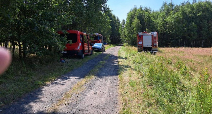 Na zdjęciu służby poszukujące zaginionej