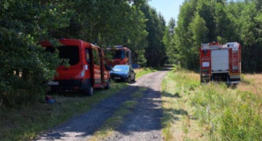 Na zdjęciu akcja poszukiwawcza we wsi Borowa