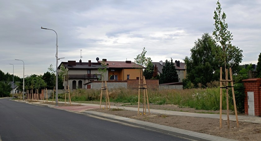 Na zdjęciu nowe nasadzenie drzew fot. Facebook/Radomsko Miasto Otwarte
