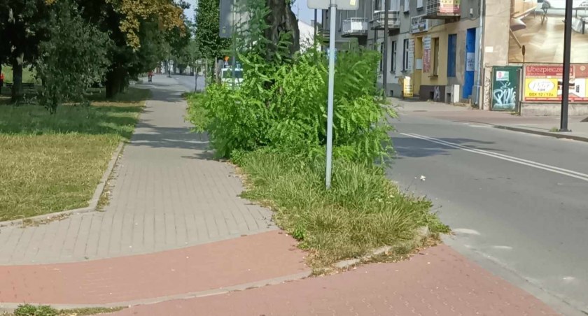 Na zdjęciu wyjazd z parkingu przy ulicy Reymonta, fot. Czytelnik