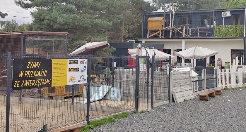 Na zdjęciu nieczynne Mini ZOO przy ul. Leśnej