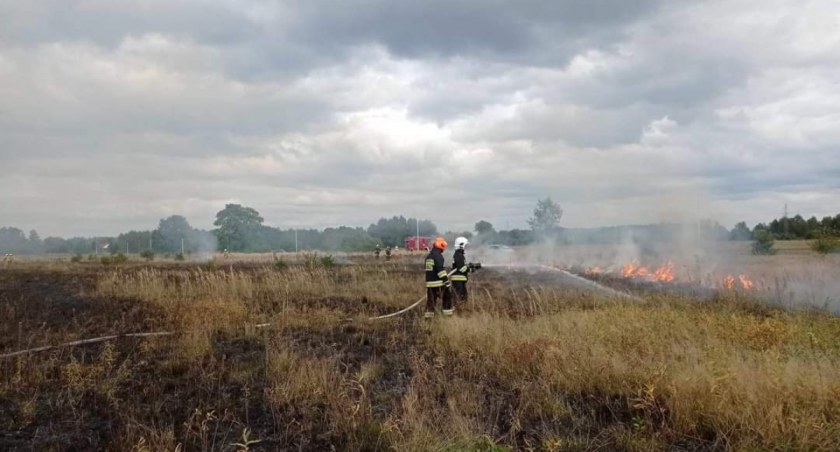 Na zdjęciu strażacy gaszący pożar suchej trawy, fot. Facebook/OSP Pławno 