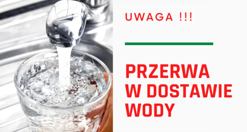 Na zdjęciu grafika PGK