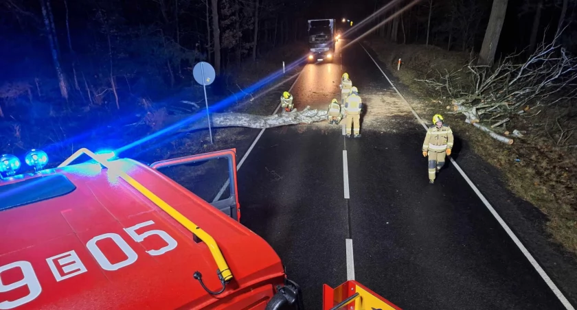 Na zdjęciu strażacy z Kamieńska usuwają powalone drzewo w Michałowie, fot. Facebook/OSP Kamieńsk