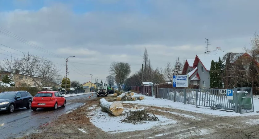 Na zdjęciu wycinka drzew wzdłuż ul. Narutowicza