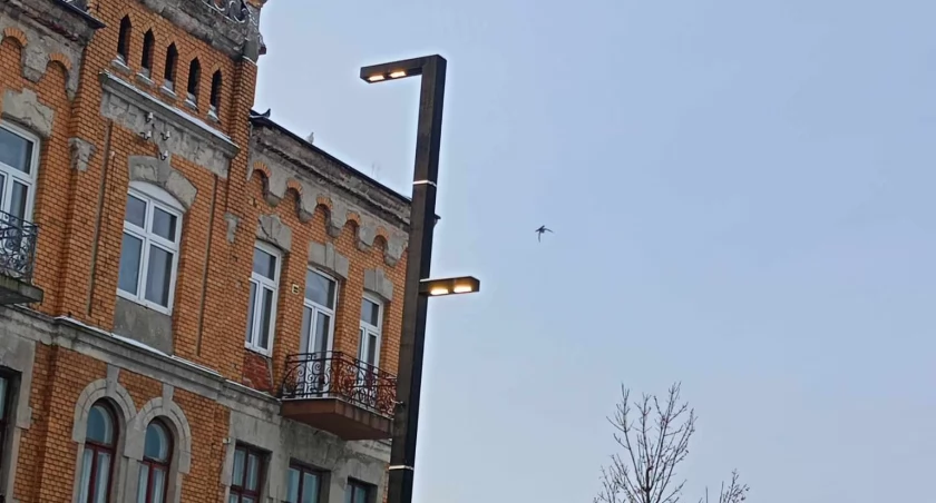 Na zdjęciu latarnia na ulicy Reymonta, piątek, godzina 8.45
