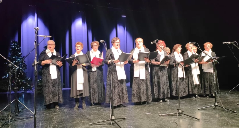 Na zdjęciu jeden z występów, fot. Facebook/UM Radomsko