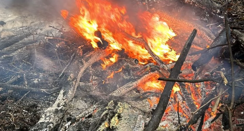 Na zdjęciu pożar w lesie, fot. Facebook/OSP Kamieńsk