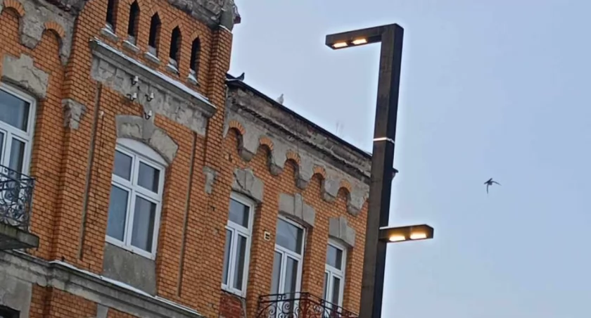 Na zdjęciu latarnie na ulicy Reymonta, fot. Czytelniczka