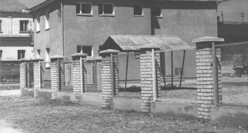 Na zdjęciu: Biuro Zakładu Energetycznego w Radomsku. Rok 1966. Fot. M. Danek