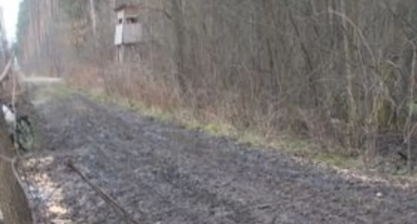 Na zdjęciu rozsypana kukurydza i w tle myśliwska ambona, fot. Czytelnik