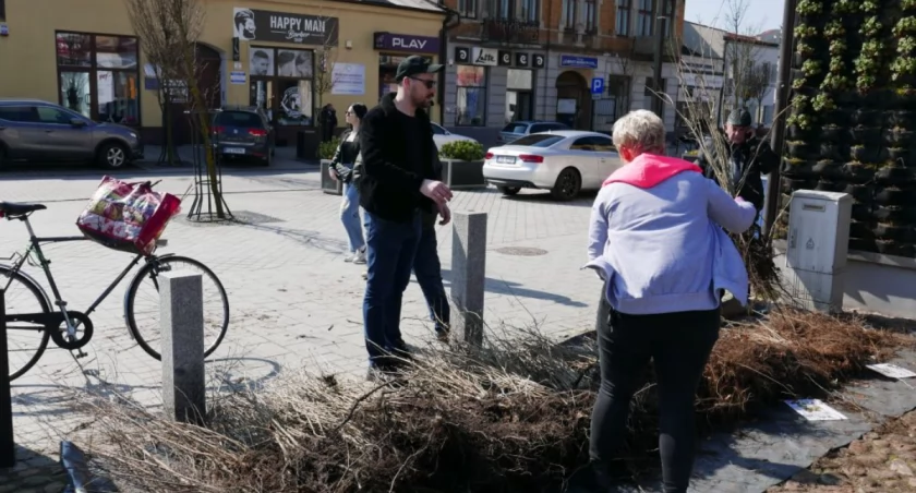 Na zdjęciu rozdawanie drzewek na ulicy Reymonta