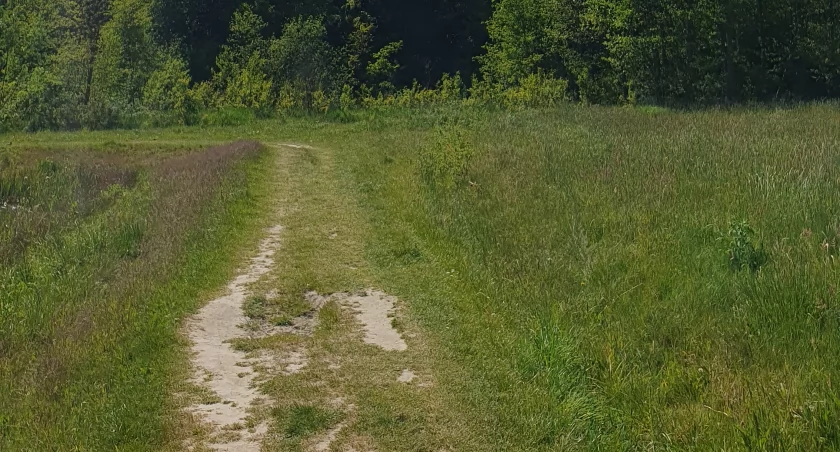 Na zdjęciu droga wokół zbiornika w dzielnicy Wymysłówek