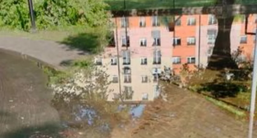 Na zdjęciu rozlewisko w miasteczku ruchu drogowego, fot. nadesłane
