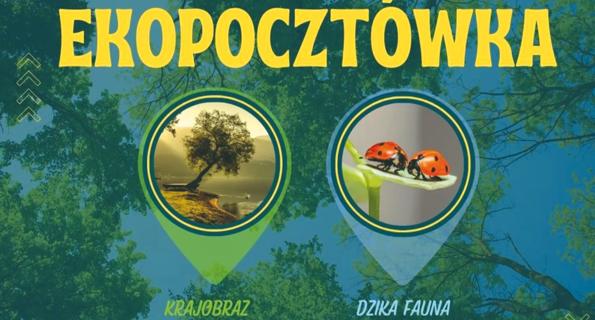 Na zdjęciu plakat promujący konkurs