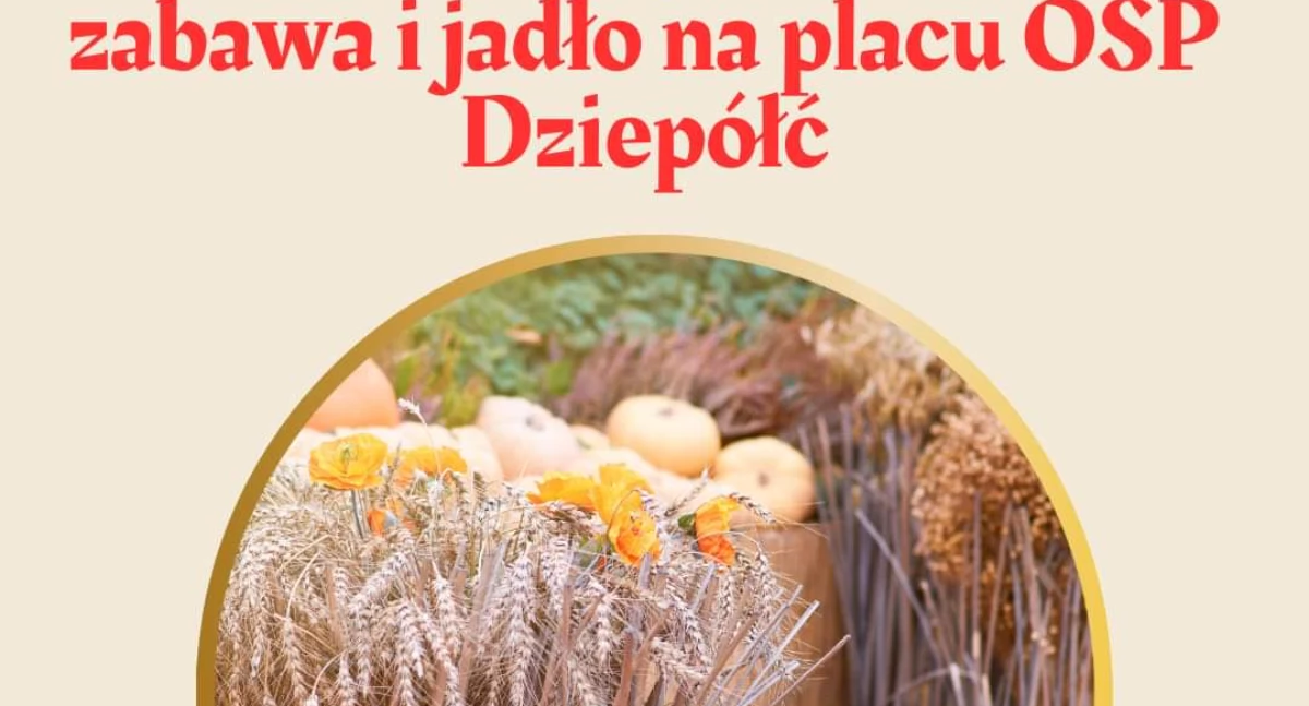 Na zdjęciu: Plakat promujący, fot. Facebook/Powiat Radomszczański