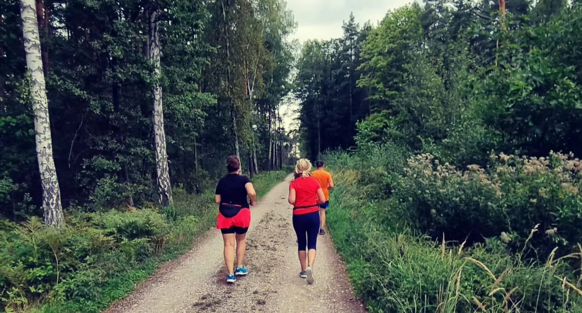 Na zdjęciu: Trening Slow Jogging Radomsko w lesie na Suchej Wsi, fot. Facebook/Slow Jogging Radomsko