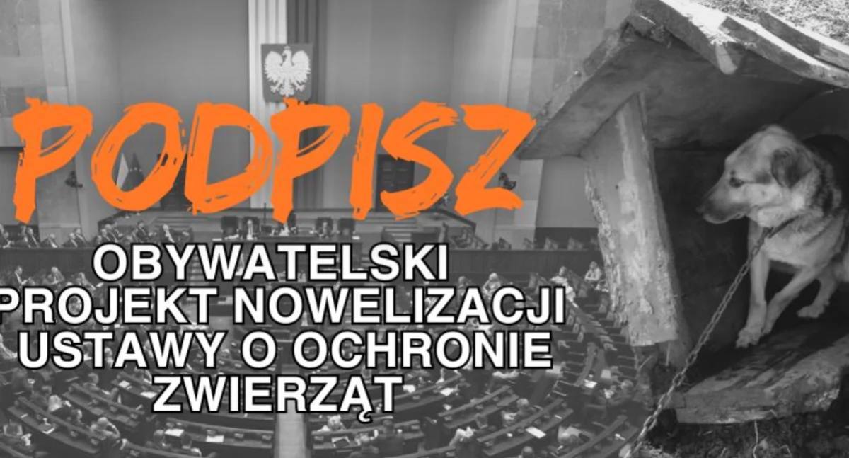 Od Czytelników, Aleksandra gdzie Radomsku można podpisać projektem łańcuchom ważna sprawa jakoś podpisów zbiera - zdjęcie, fotografia
