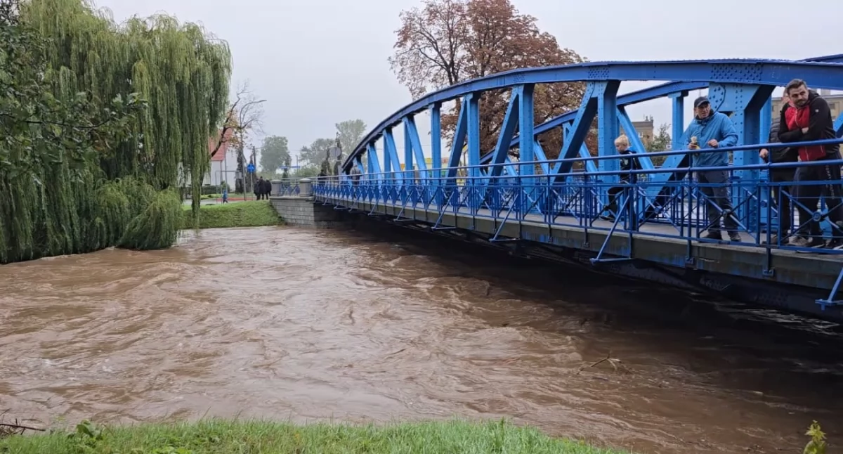 Na zdjęciu: l Most w Świdnicy na Dolnym Śląsku, fot. www.swidnica24.pl