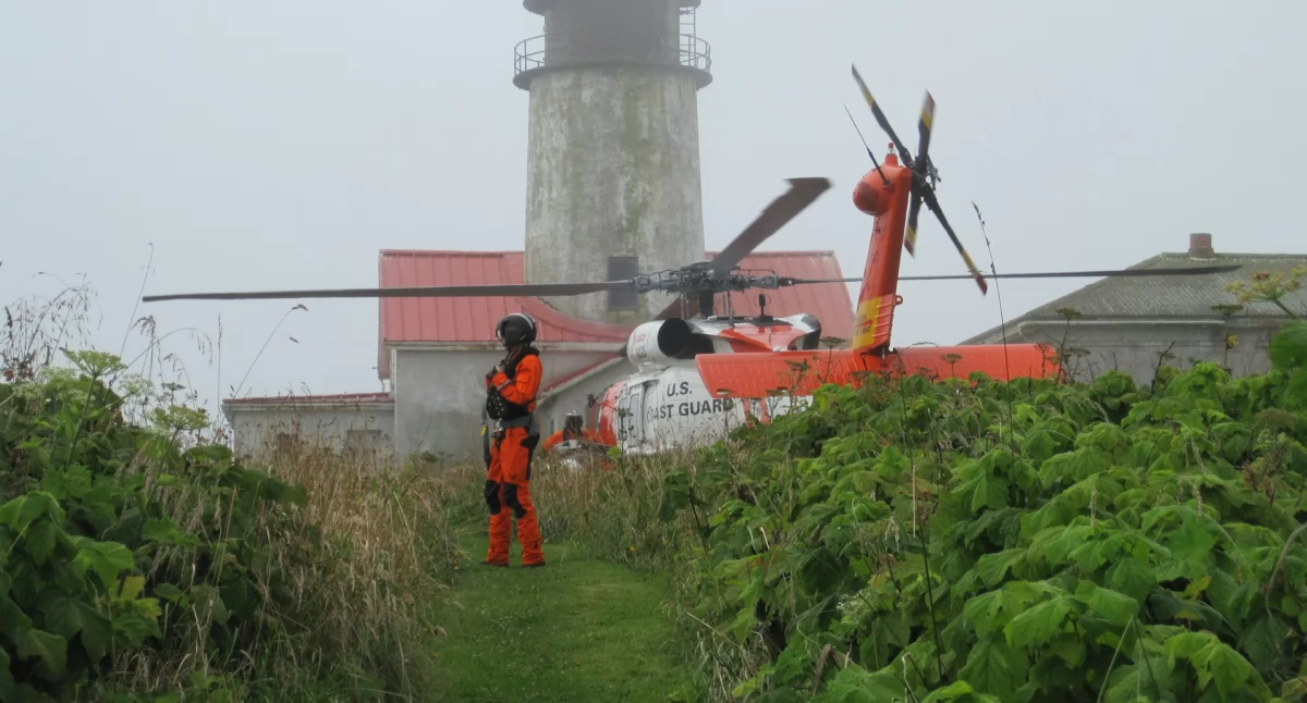 Handel i Usługi, Dlaczego warto wybrać pilotażu helikoptera - zdjęcie, fotografia