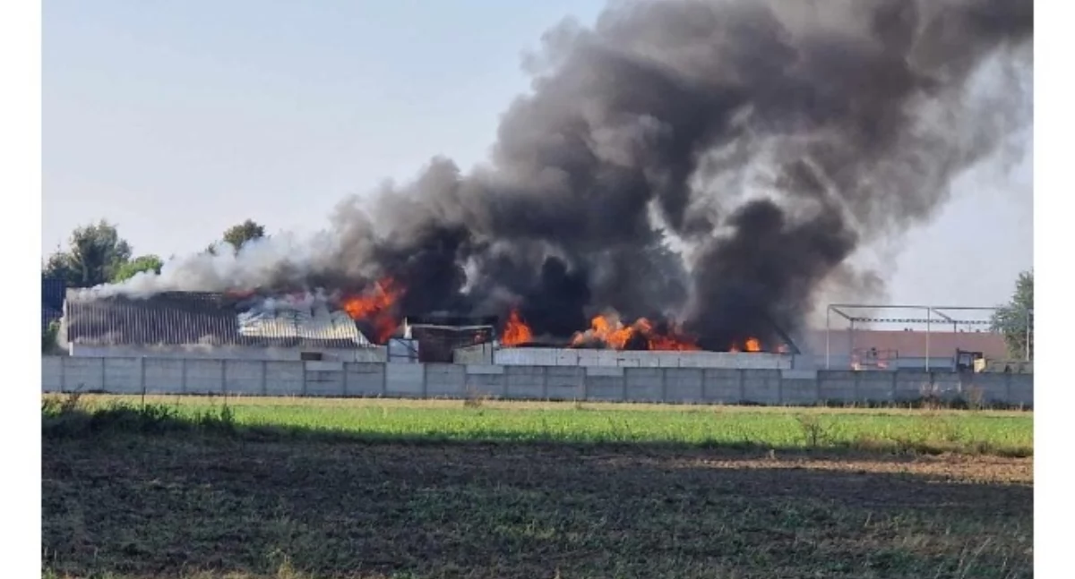 Na zdjęciu: Pożar hali w Krzywanicach