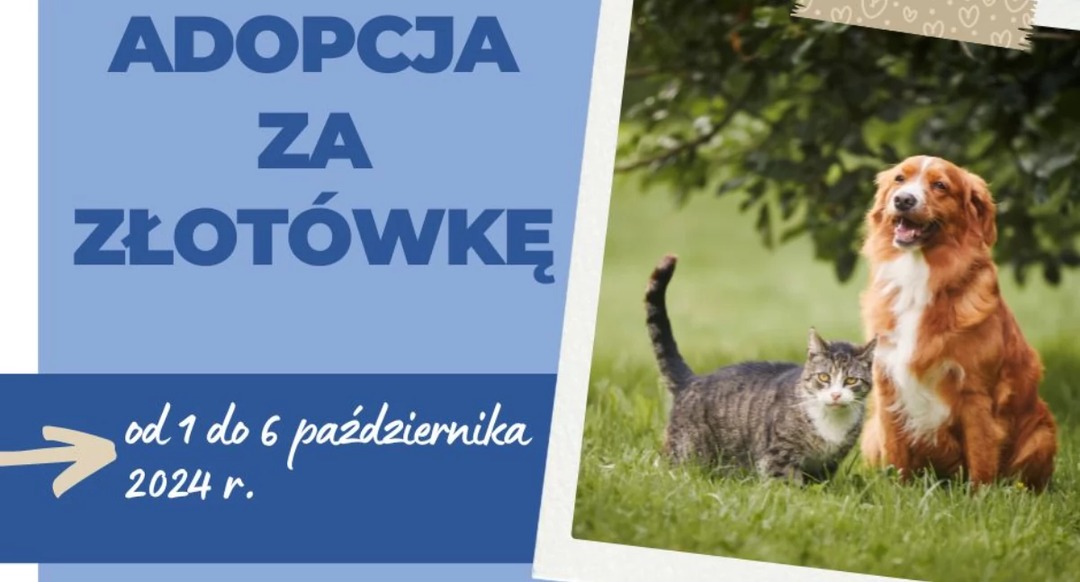 Na zdjęciu plakat promujący, fot. Facebook/Radomsko Miasto Otwarte
