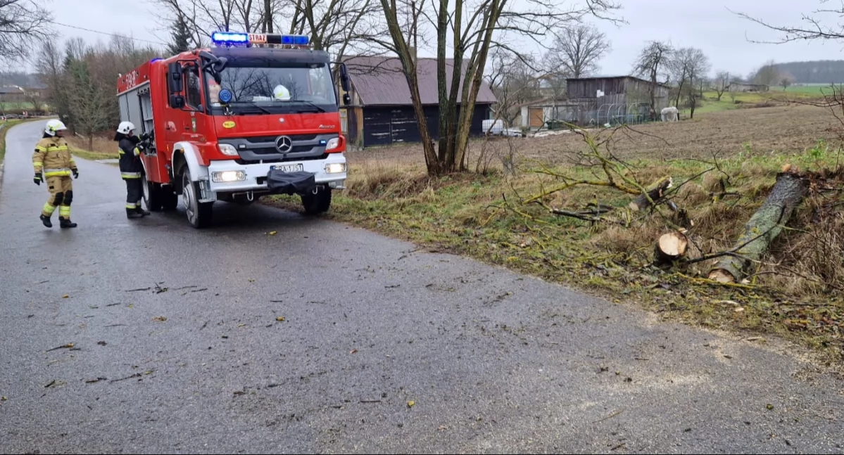 Na zdjęciu: Strażacy z OSP Kobiele Wielkie, usuwają powalone drzewo, fot. Facebook/OSP Kobiele Wielkie