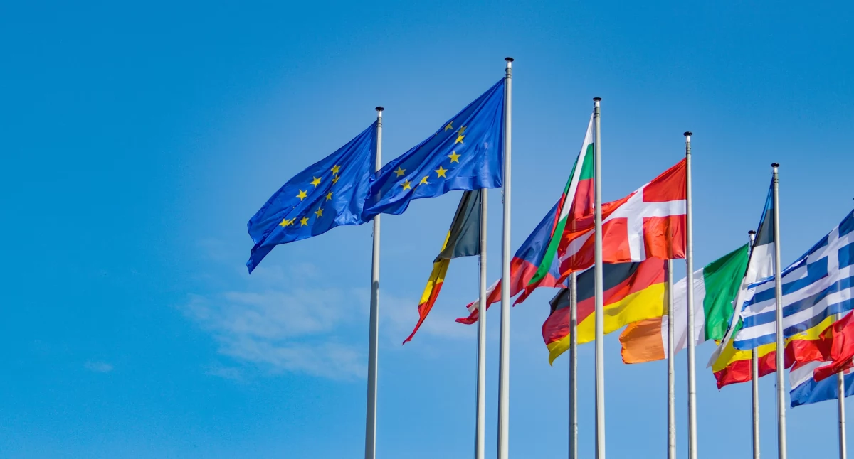 Na zdjęciu: Flagi krajów EU, fot. Pixabay
