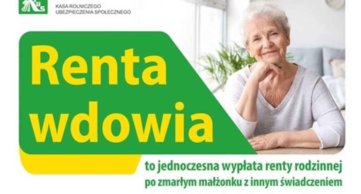Na zdjęciu: plakat promujący, fot. Facebook/Powiat Radomszczański
