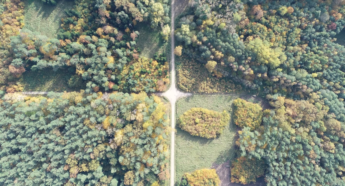 Inwestycje, Dyrektor Regionalnej Dyrekcji Lasów Państwowych Łodzi zaprasza Naradę Urządzeniową - zdjęcie, fotografia