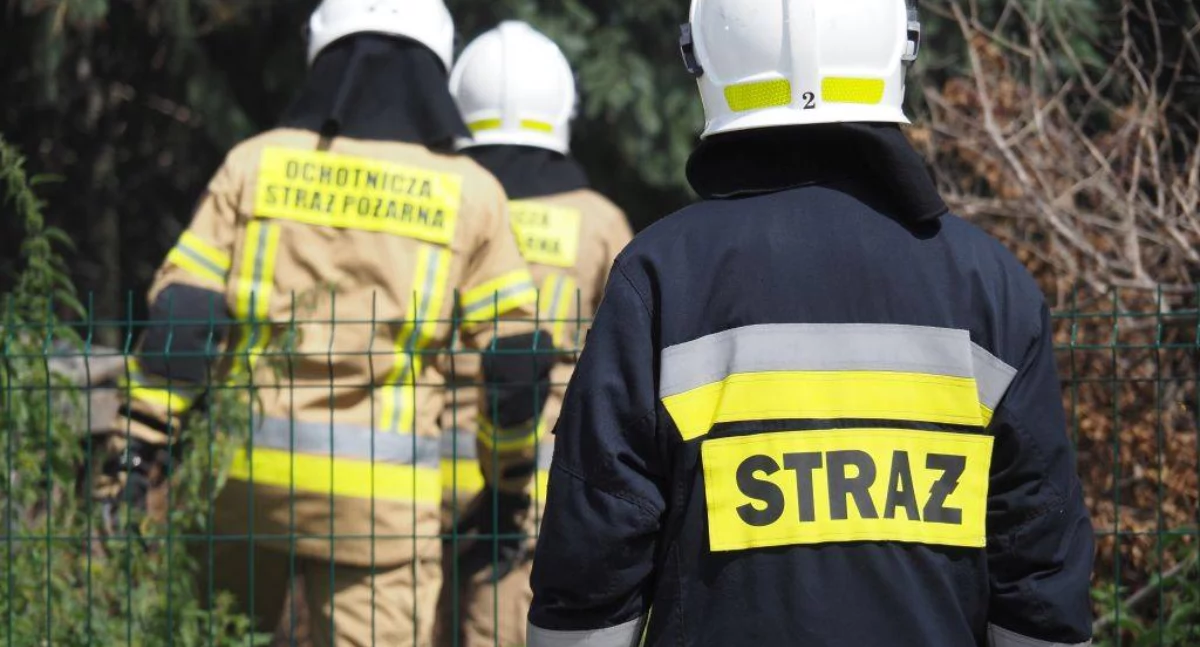 Na zdjęciu: Strażacy, fot. ilustracyjne