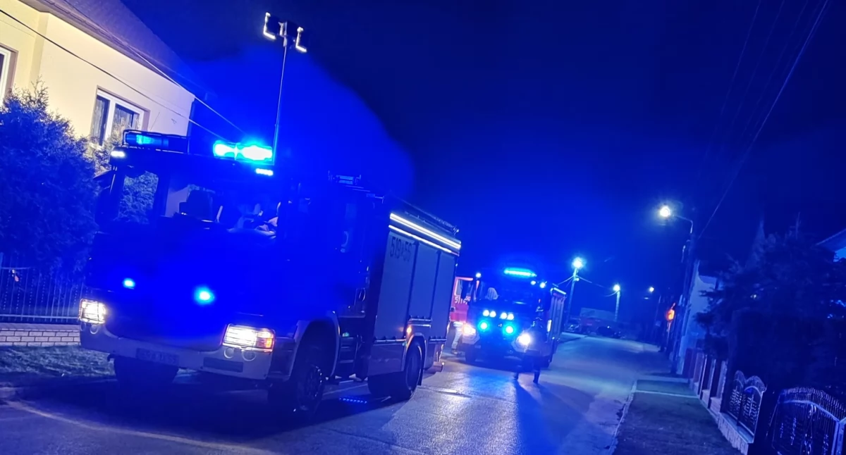 Na zdjęciu: Do pożaru wyjechały dwie jednostki, fot. Facebook/OSP Lgota Wielka