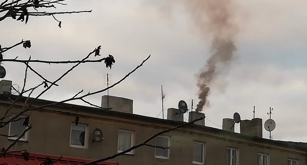 Na zdjęciu: Komin