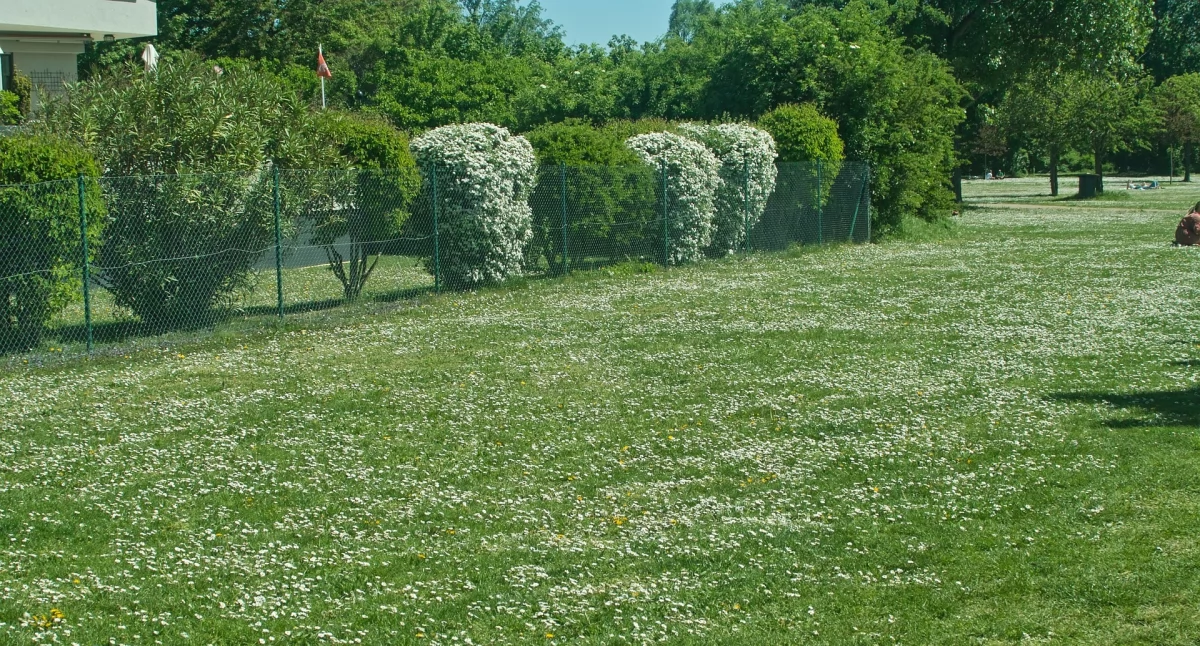 Inwestycje, sprawdzić przed zakupem działki - zdjęcie, fotografia