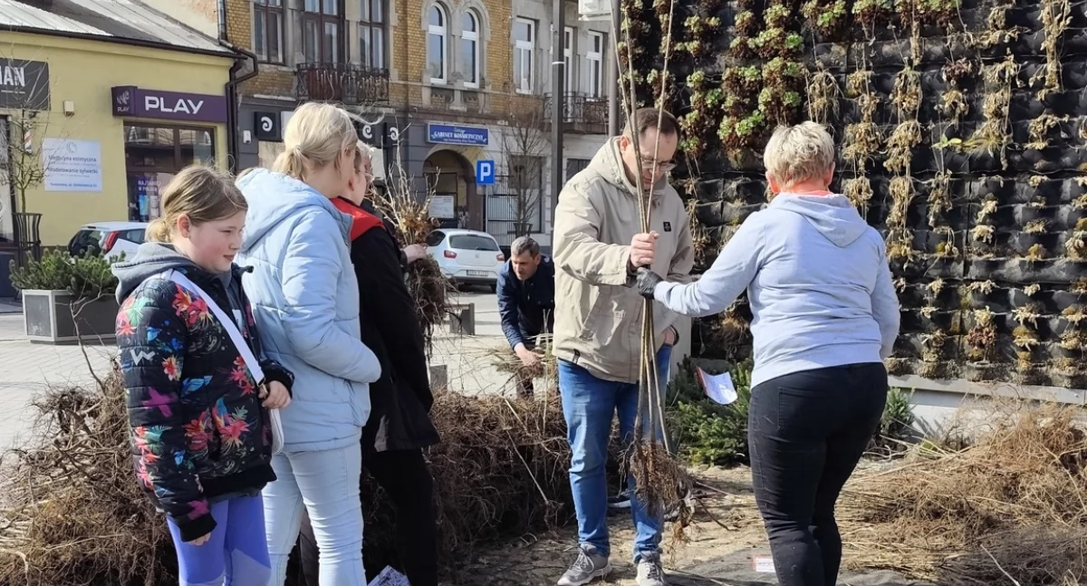 Na zdjęciu: Chętnych na darmowe sadzonki nie brakowało, fot. Facebook/UM Radomsko