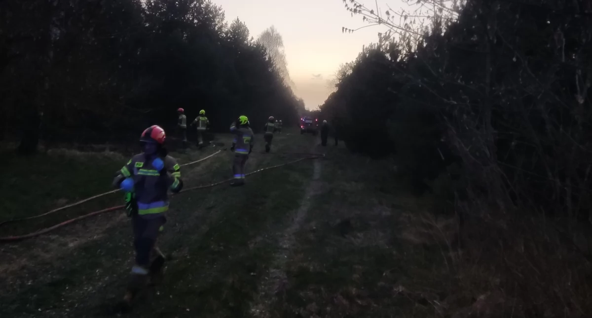 Straż pożarna, Pożar Blakowej miejscu sześć jednostek straży pożarnej - zdjęcie, fotografia