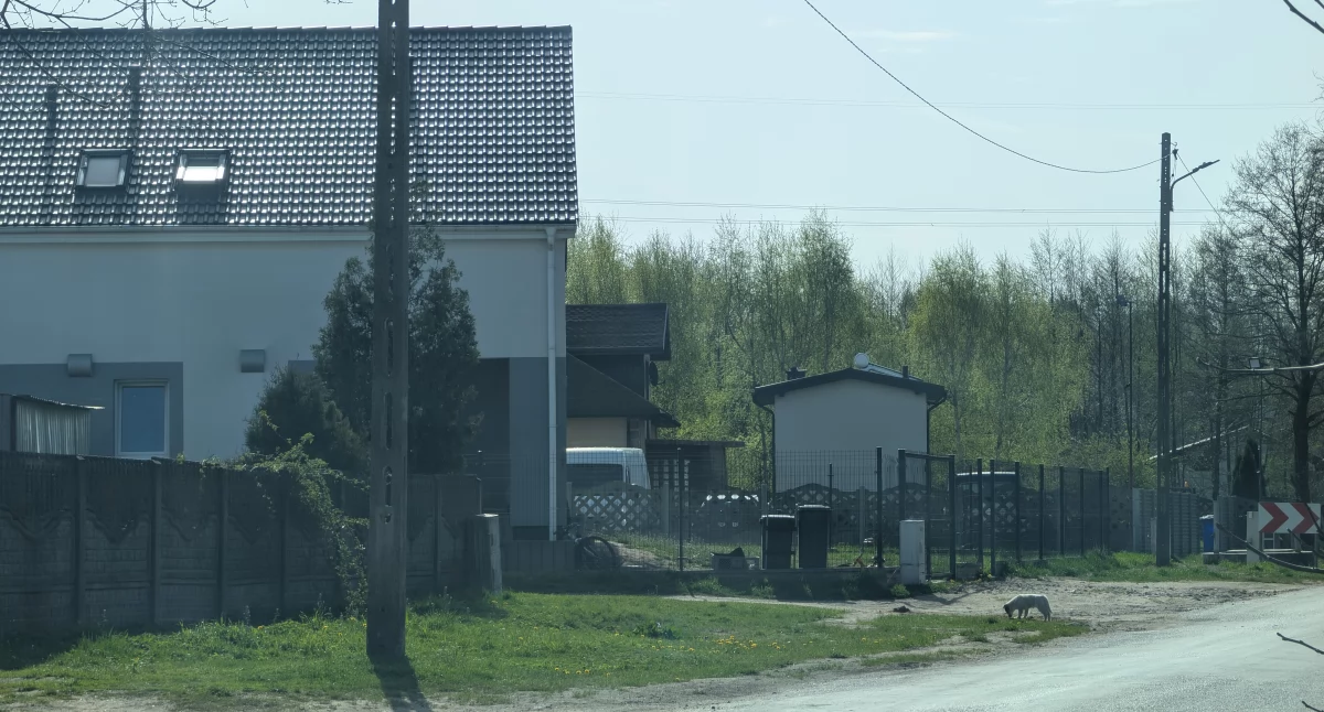 Na zdjęciu: Miały być powybijane szyby. Zamiast tego dużo rozgadanych ludzi 