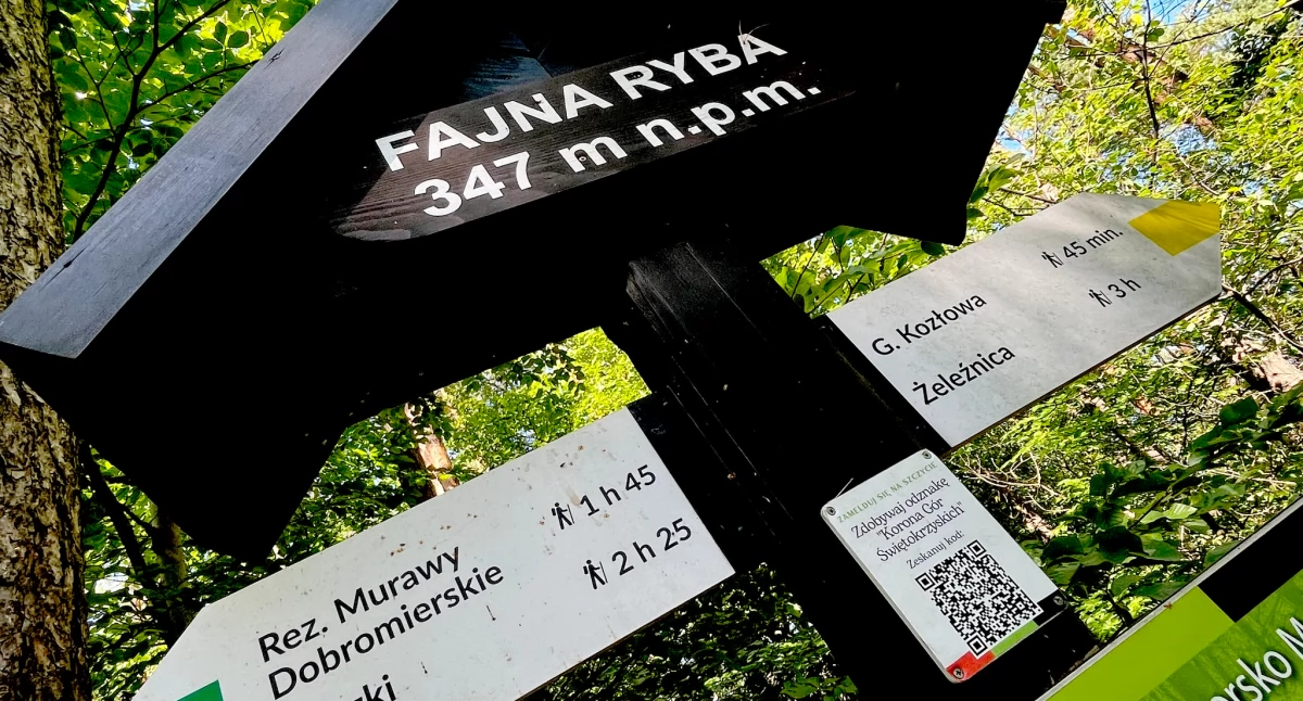 Ludzie, Urząd miasta Przedborzu zaprasza majówkę namiotem zalewem mieście powstało namiotowo campingowe - zdjęcie, fotografia