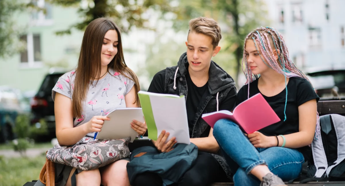 Edukacja, Studia idealne kreatywnych postaw marketing budowanie wizerunku - zdjęcie, fotografia