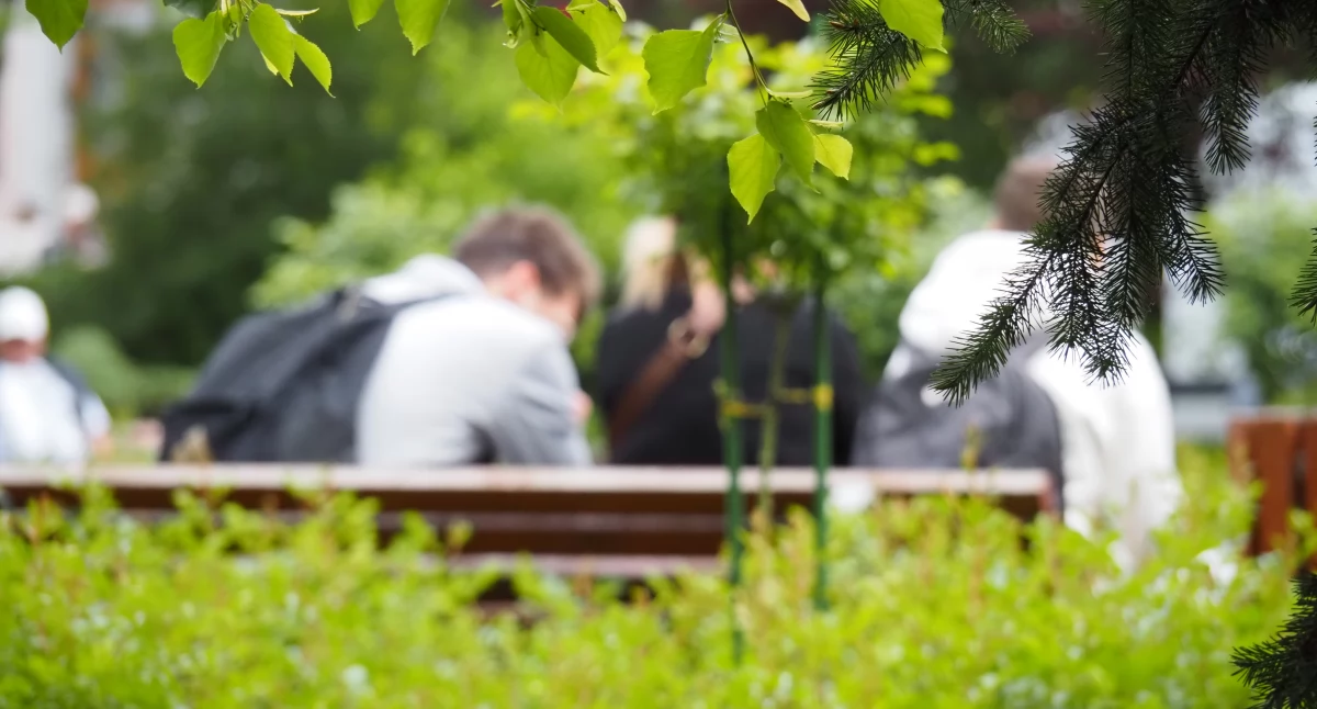 Na zdjęciu: Radomszczanie mają swoje poglądy, ale chwalą się nimi głównie w sieci. Do tego anonimowo