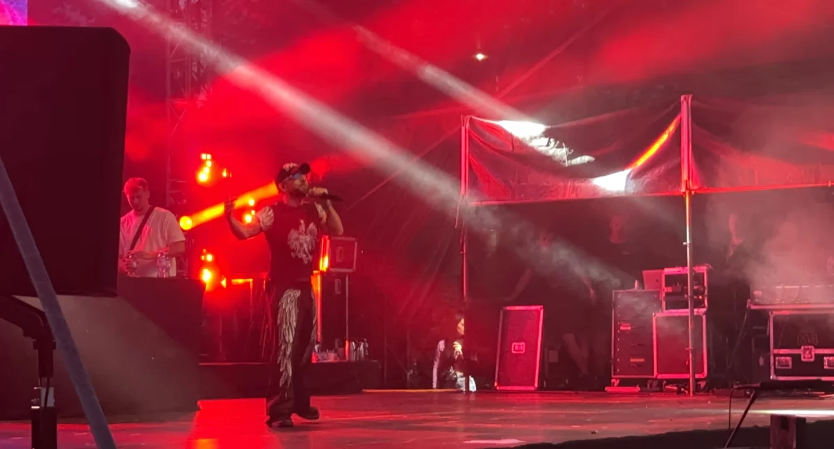 Na zdjęciu: koncert plenerowy