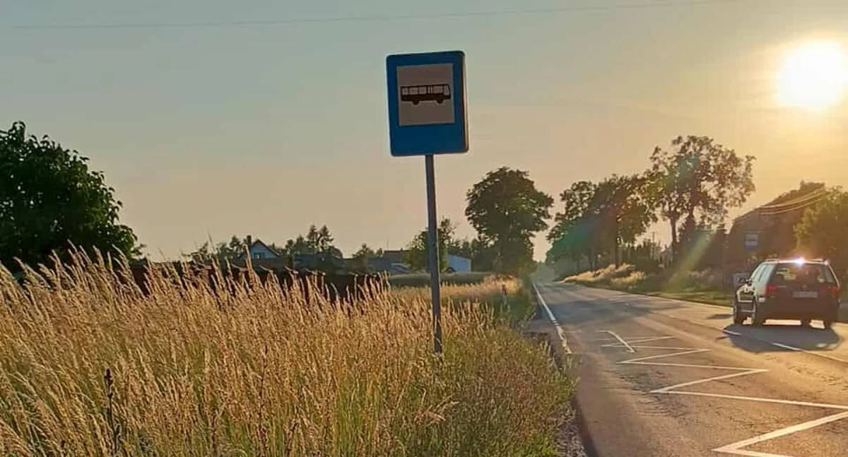 Na zdjęciu: Zarośnięte pobocza w Ładzicach, fot. nadesłane