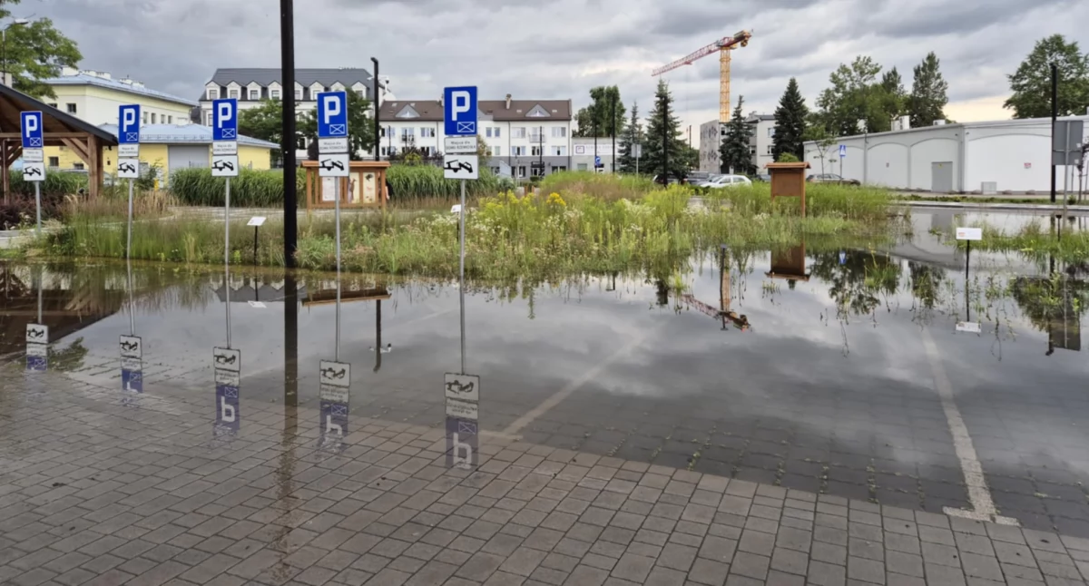 Na zdjęciu: Miejsca parkingowe pod wodą