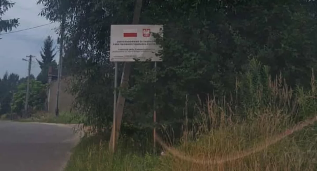 Na zdjęciu: Drzewo wrosło w linię, fot. Czytelnik